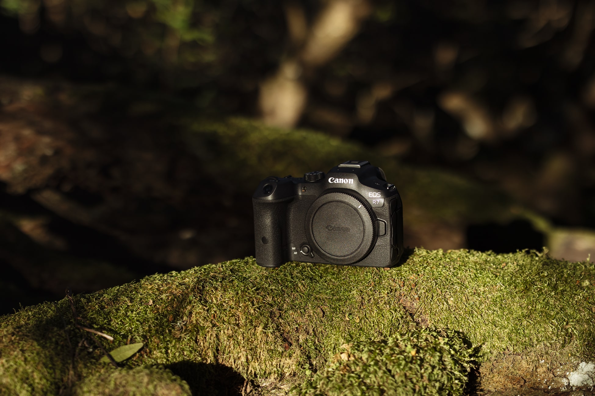 Canon EOS R7